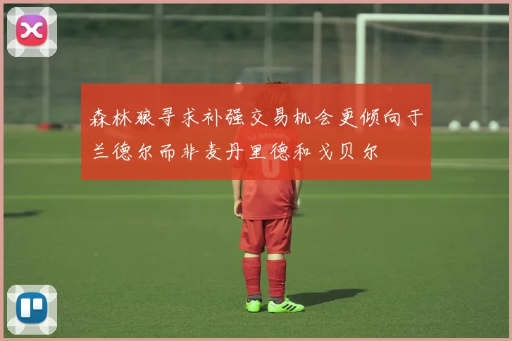 森林狼寻求补强交易机会更倾向于兰德尔而非麦丹里德和戈贝尔